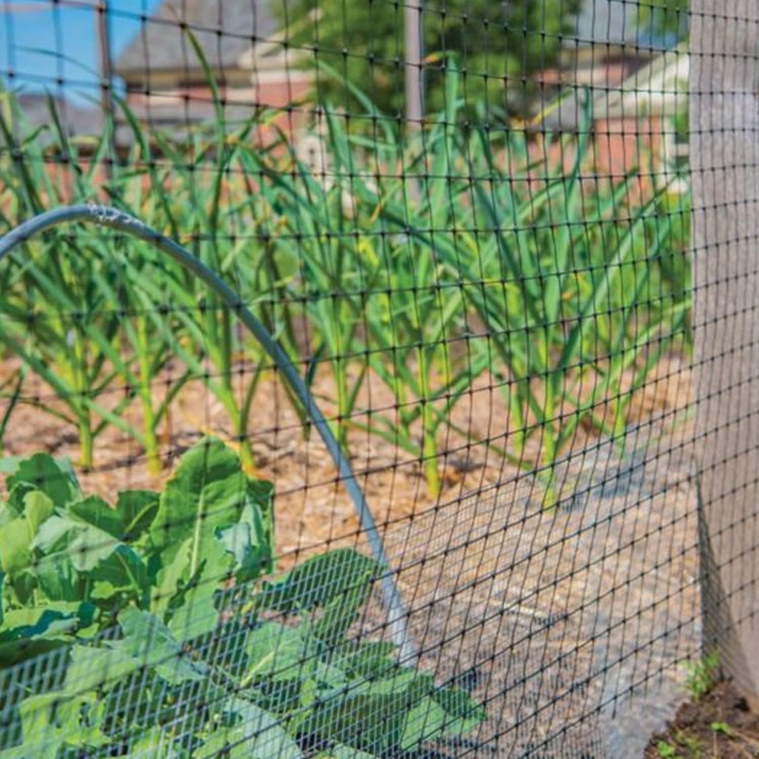 YARDGARD 1/2 Inch Mesh Welded Wire Fence, Hardware Cloth, 19 Gauge Galvanized Steel For Garden Protection, Cage Fencing, Chicken and Rabbit Barriers, and Crafts, 36 Inches x 5 Feet