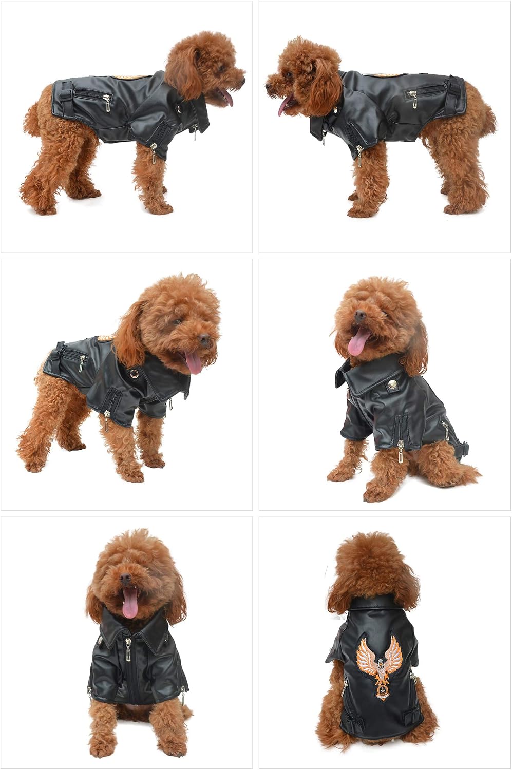 Lovelonglong Cool Dog Leather Jacket, Warm Coats Dogs Windproof Cold Weather Coats for Large Medium Small Dogs with Eagle Embroidery Black XS