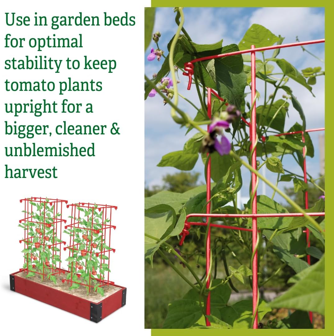 Gardener's Supply Company Lifetime Tomato Cages, Green, Set of 4