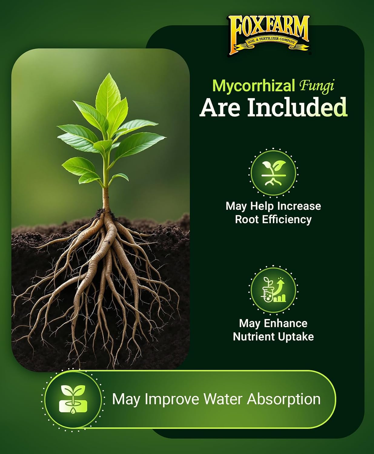 FoxFarm Happy Frog Tomato & Vegetable Fertilizer - Vegetable Fertilizer for Vigorous Feeders, 5-7-3 Blend with Calcium & Mycorrhizal Fungi