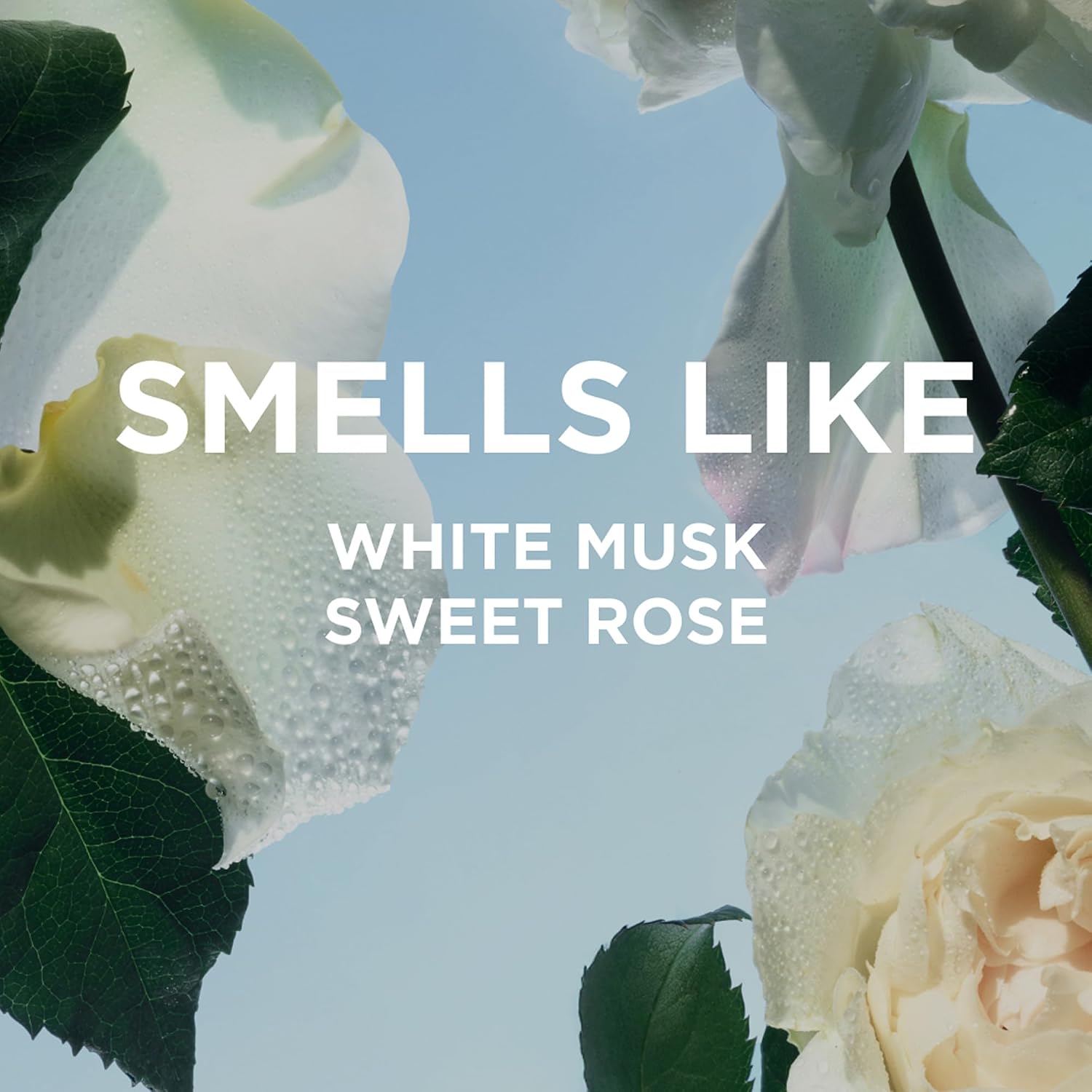 By Rosie Jane Eau De Parfum Spray (Leila Lou) - Clean Perfume for Women - Non-Toxic Body Mist with Notes of Juicy Pear, Sweet Jasmine & Tangerine Skin - Paraben, Sulfate & Phthalate Free (50ml)