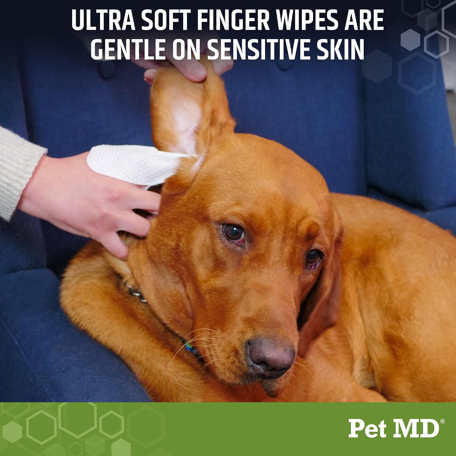 Pet MD Dog Ear Cleaning Wipes – Otic Cleanser for Dogs - 100 ct | Soothing Ear Care with Aloe Vera & Eucalyptus, Regular Wipes
