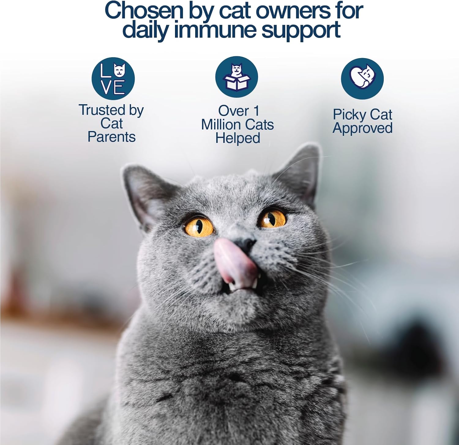 Felisyl L-Lysine Granules for Cats 100g (3.5 oz, 310 Servings) – Supports Immune, Respiratory, and Eye Health. Eases Sneezing, Runny Nose
