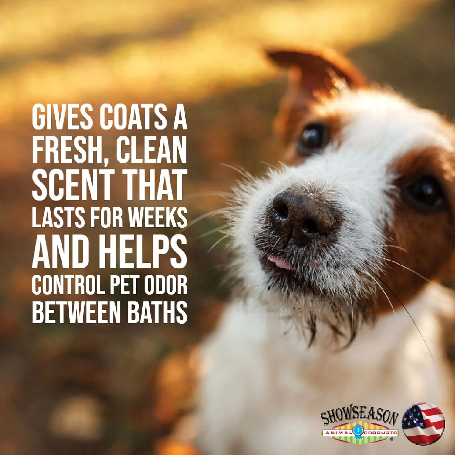 South Bark's Blueberry-Clove Conditioner for Dogs & Cats 12 oz. | Long Lasting Softness | Paraben-Free | Biodegradable & Non-Toxic | Made in USA