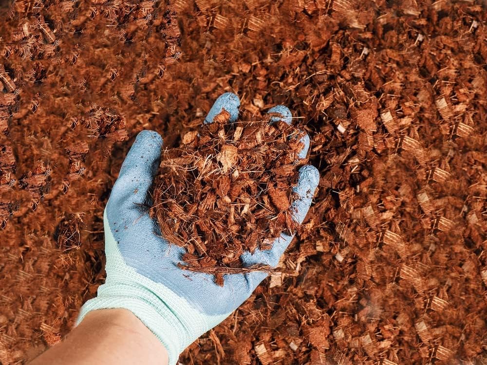 Envelor Organic Coco Coir Brick 10 Lbs. Coir Block Coconut Fiber Growing Medium Potting Soil Mix Coco Peat Media Coir Pith Indoor Outdoor Planters Vegetable Garden Beds