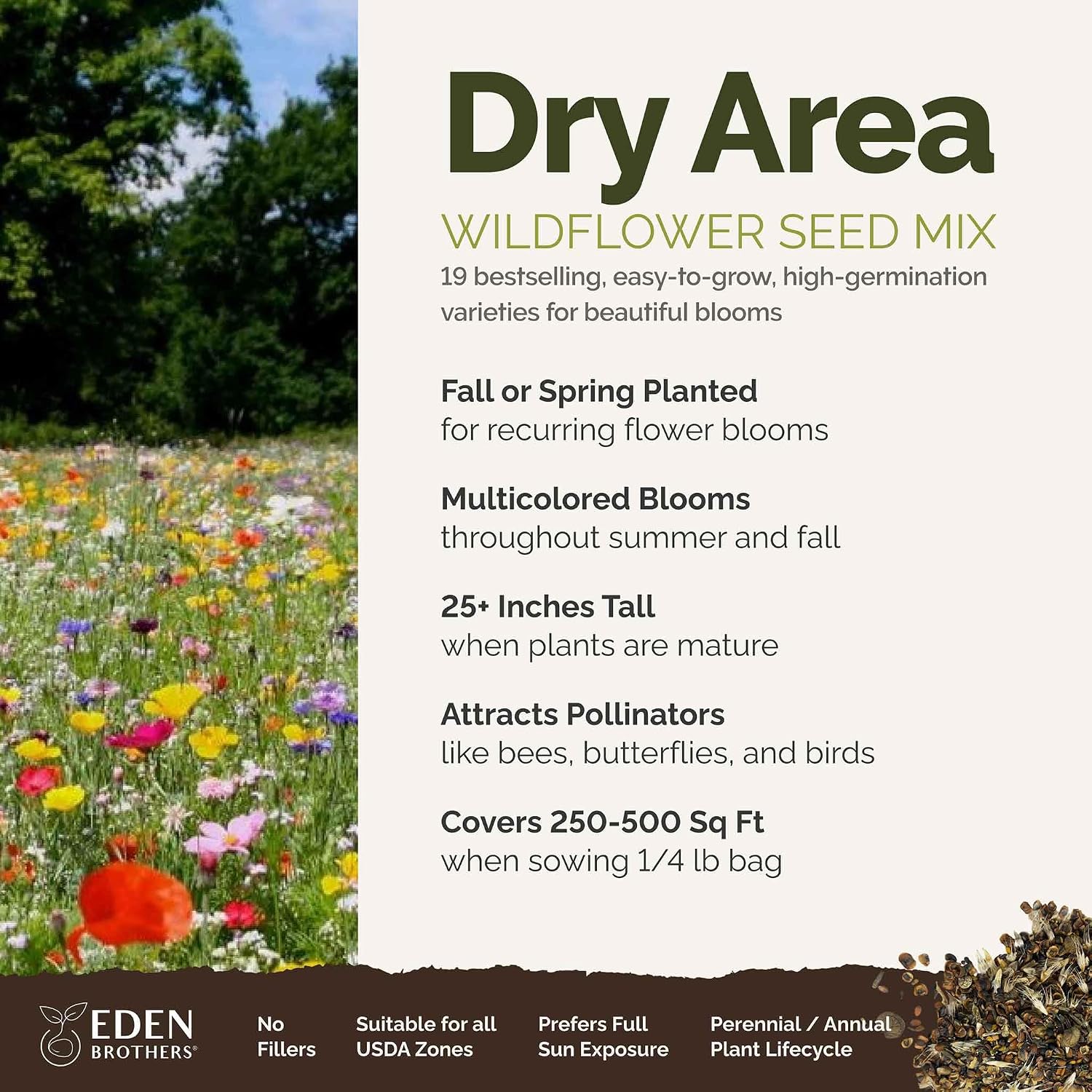 Eden Brothers All Perennial Wildflower Mixed Seeds for Planting, 1 lb, 480,000+ Seeds with Lupine, Shasta Daisy | Attracts Pollinators, Plant in Spring or Fall, Zones 3, 4, 5, 6, 7, 8, 9, 10
