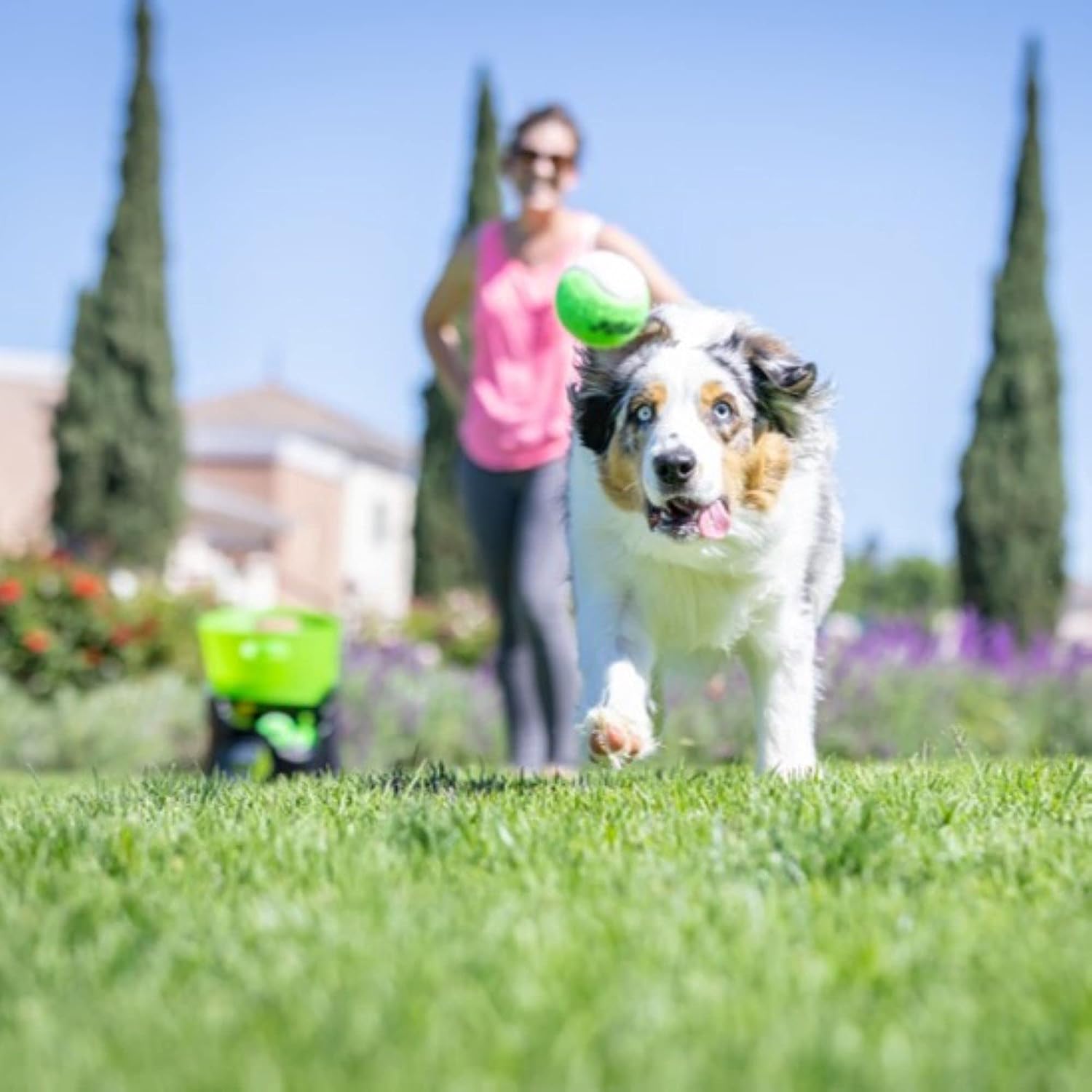 Hyper Pet GoDogGo Fetch Machine Dog Ball Launcher & Automatic Ball Launcher for Dogs With Five 2.5" Balls for Dogs 20-60 Pounds