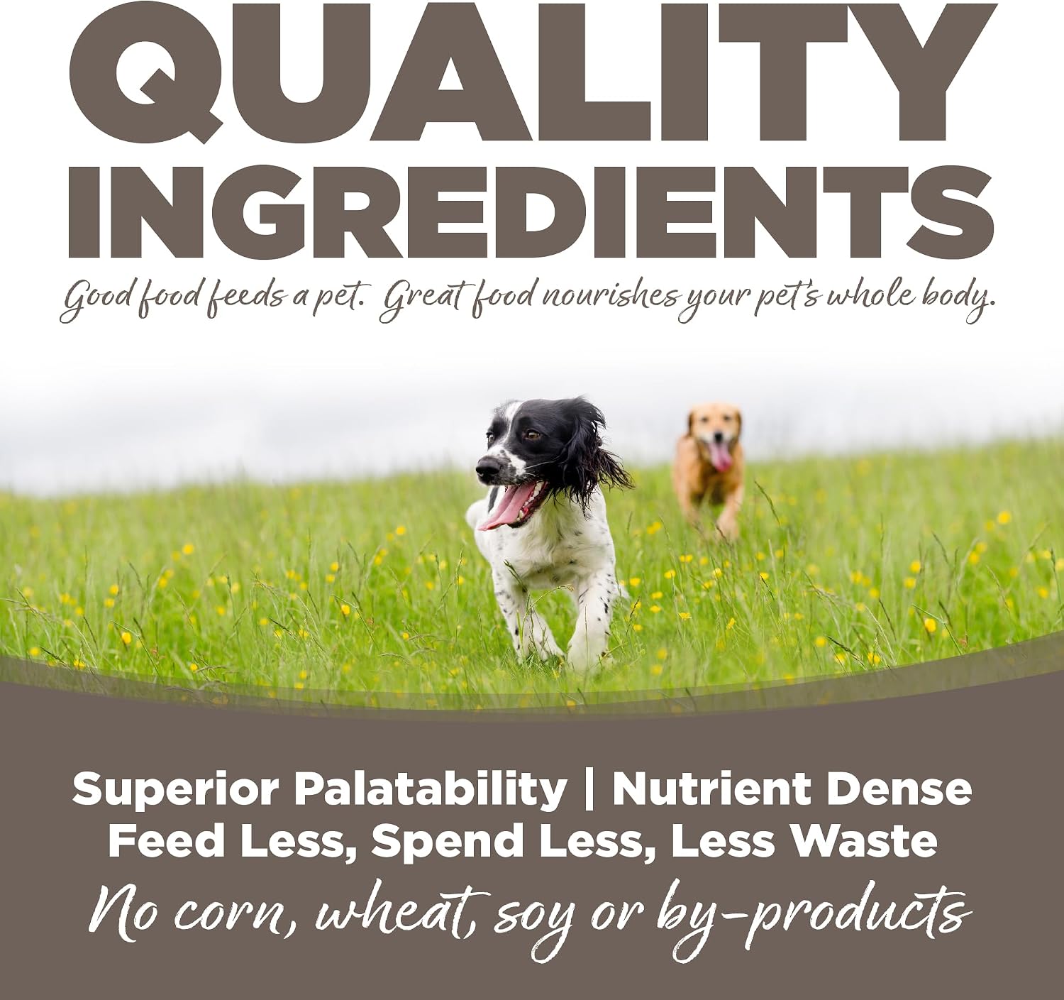 NutriSource Senior Dry Dog Food, Chicken & Rice, 26 lb | Probiotic & Prebiotic Support, Glucosamine & Chondroitin, Grain Inclusive, No Corn Wheat or Soy