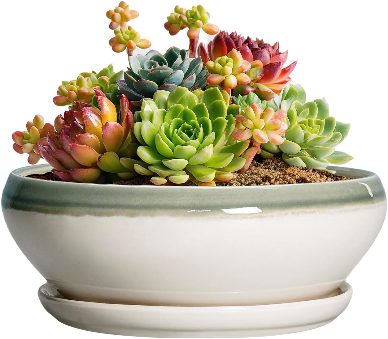 SQOWL 7 Inch Round Ceramic Succulent Planter Pot Drip Glazed Shallow Planter with Drainage Bamboo Tray for Indoor Plants