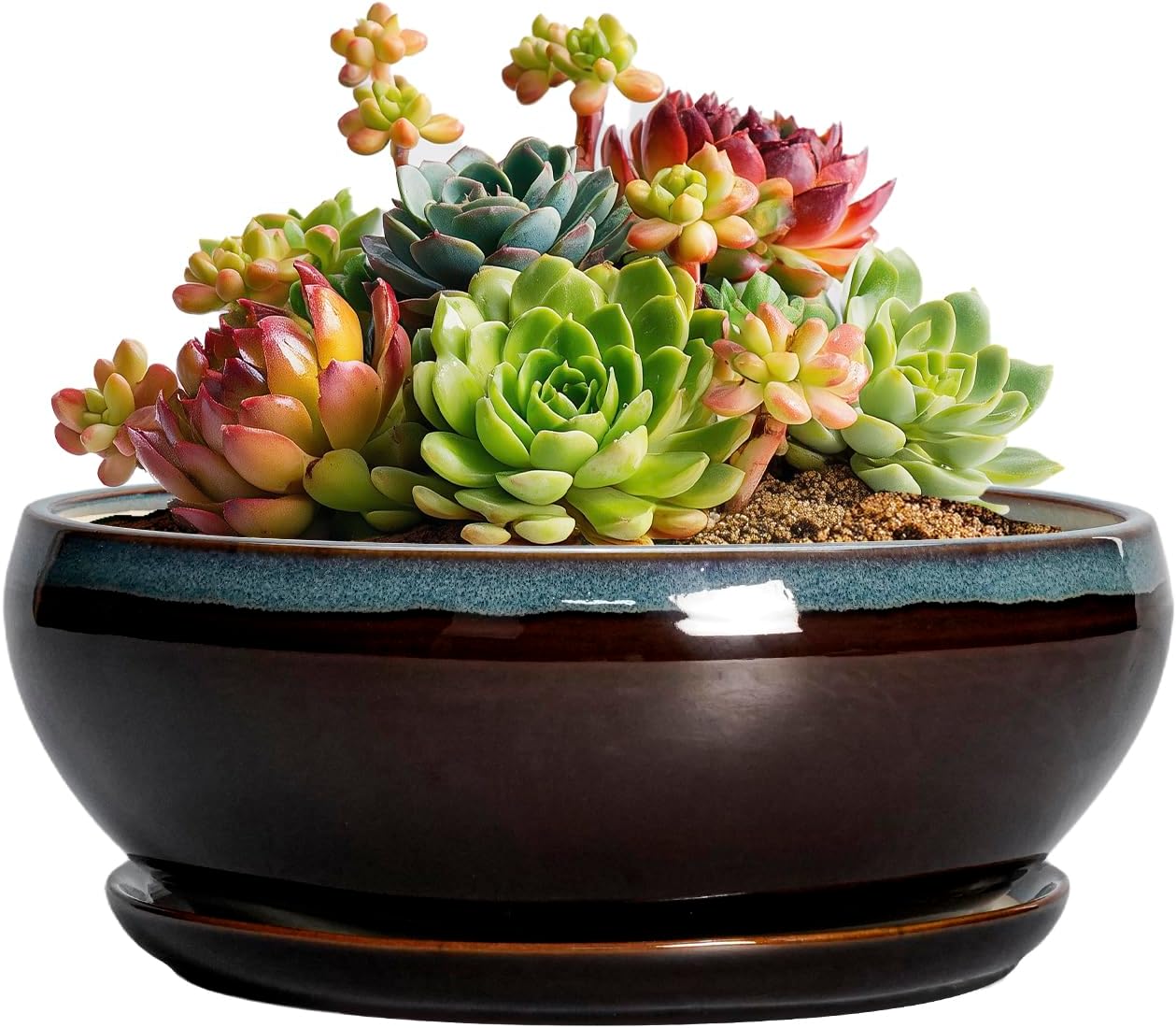 SQOWL 7 Inch Round Ceramic Succulent Planter Pot Drip Glazed Shallow Planter with Drainage Bamboo Tray for Indoor Plants