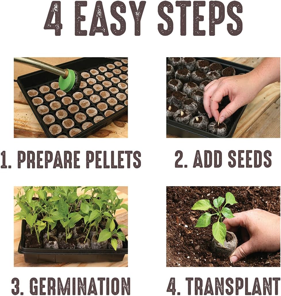 100 Count- Jiffy 36 MM Peat Soil Pellets Seeds Starting Plugs: Indoor Seed Starter- Start Planting Indoors for Transplanting to Garden or Planter Pot | Starter- Start Planting Indoors for Transplanting to Garden or Planter Pot