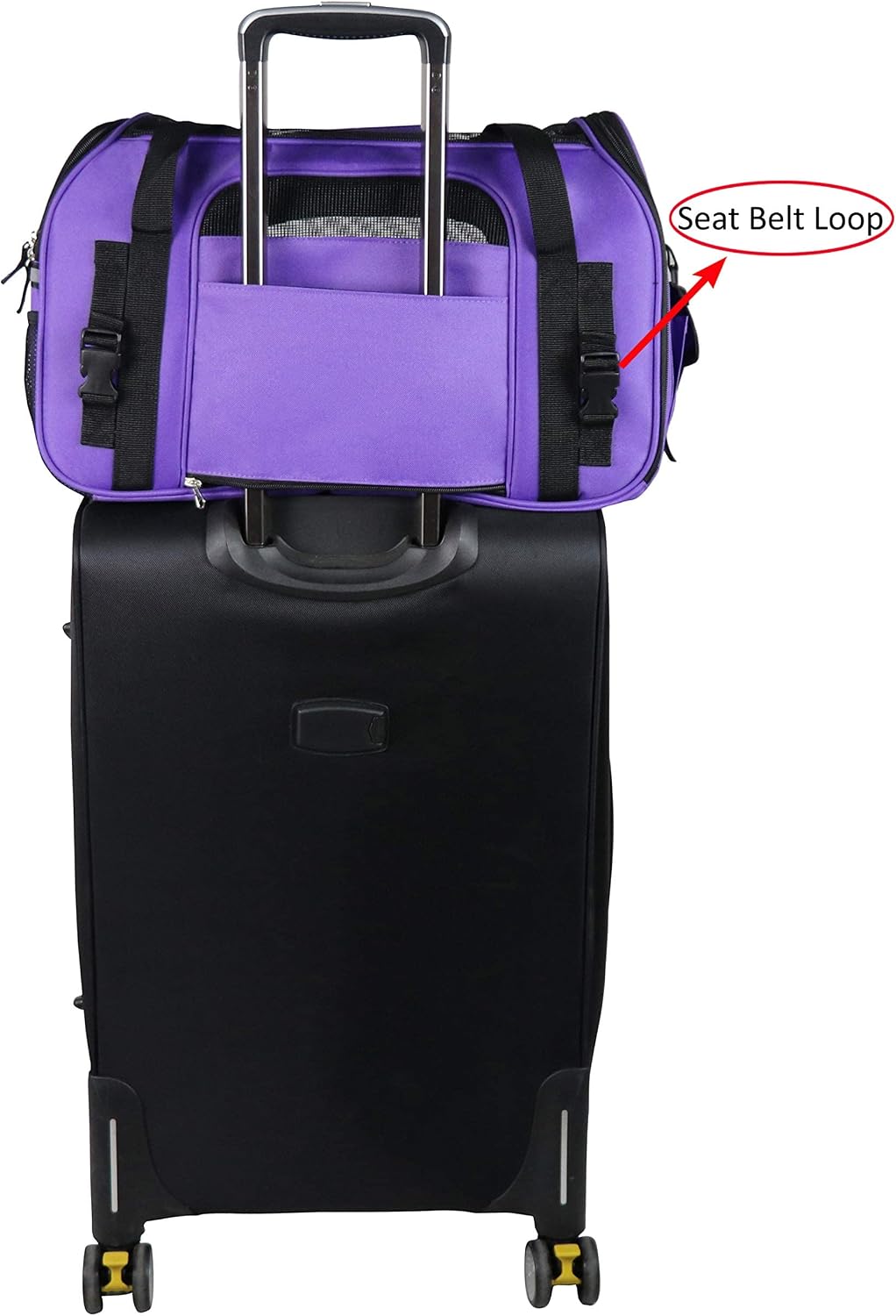 EliteField Soft-Sided Pet Carrier for Cats & Small Dogs (3-Year Warranty) | Airline Approved, Removable Bed & Cover, Built-In Leash, Luggage Sleeve, Seat Belt Loop, Waterproof, Durable, Foldable