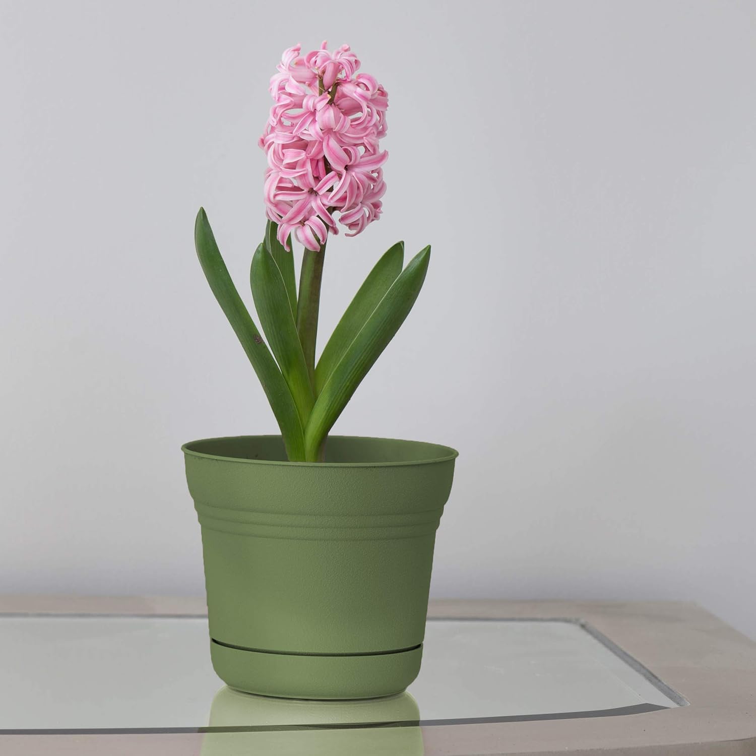 Bloem Saturn Planter with Saucer, 10", Calypso (SP1027)