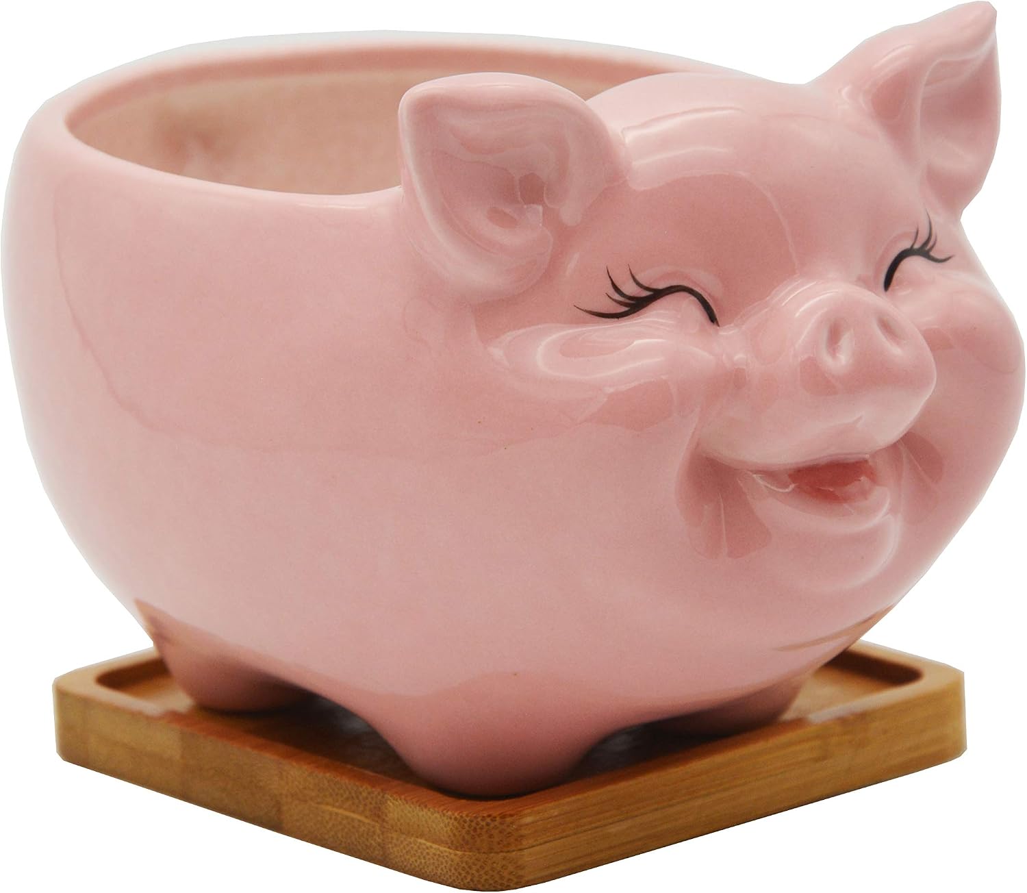 Cuteforyou Succulent Pots,Cute Animal Shaped Cartoon Ceramic Succulent Cactus Flower Planters -Plant Not Included，Cat