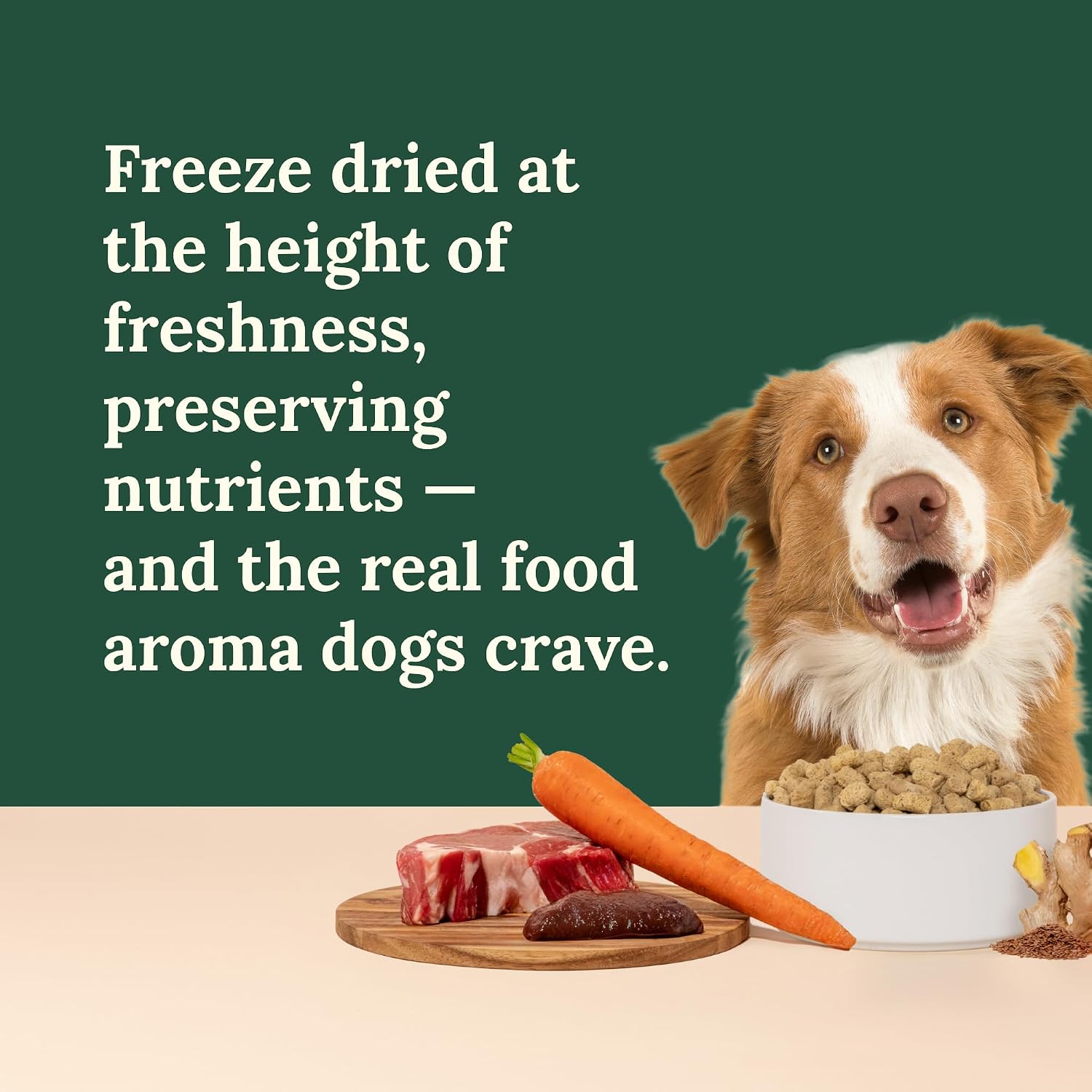 360 Pet Nutrition Freeze-Dried Raw Dog Food – Multi-Protein with Beef, Chicken, Fish, Liver & Organs