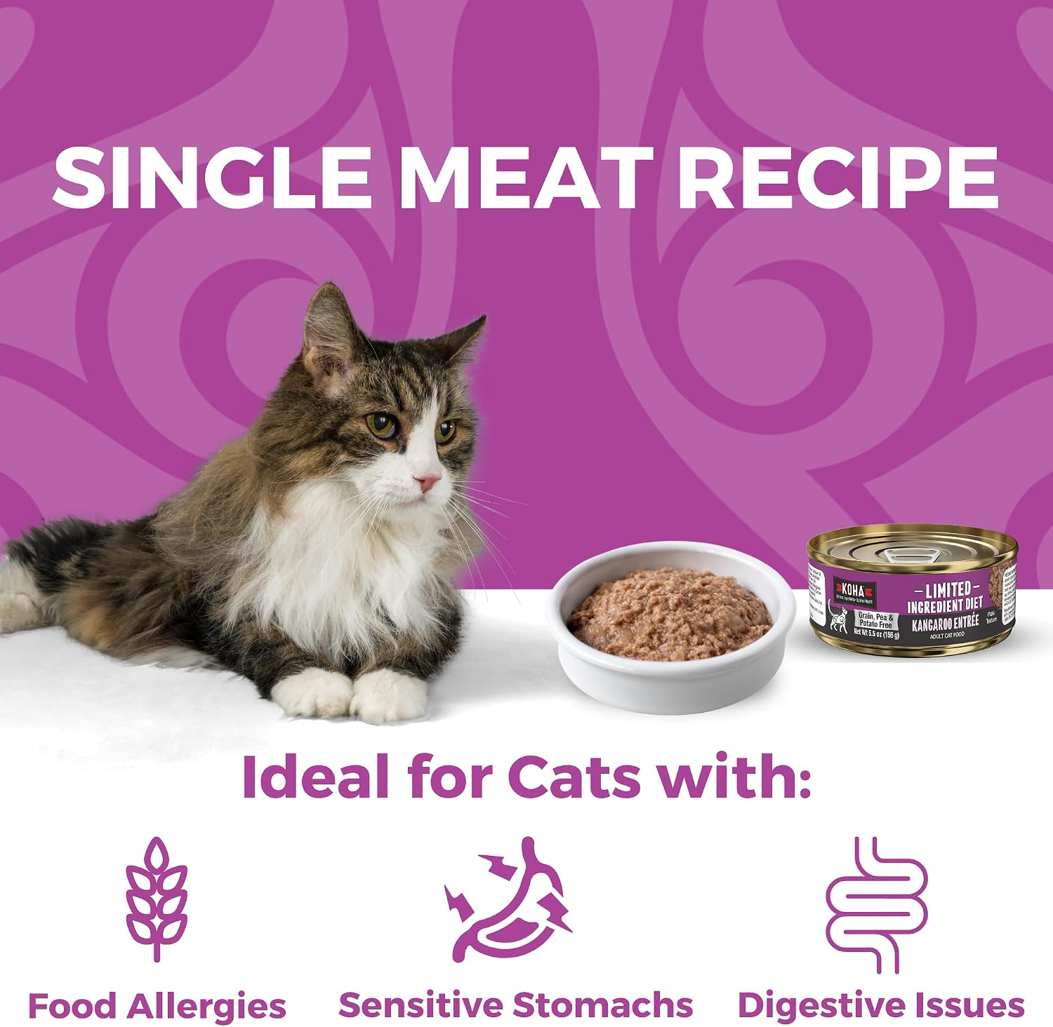 KOHA Limited Ingredient Diet Kangaroo Pate for Cats, 5.5 oz Pack of 24 | Single meat protein, sensitive stomach formula, no fillers, wet cat food, made in USA