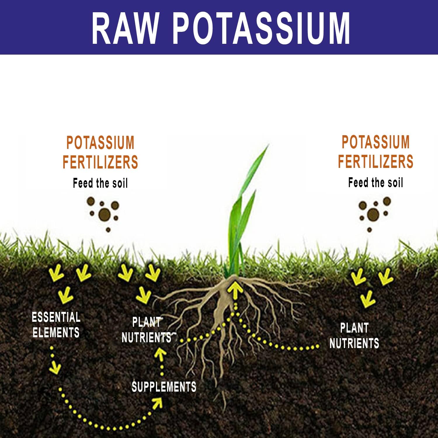 RAW Potassium Fertilizer - Water Soluble High Potassium for Plants, 8 oz | Fertilizer for Garden Use and Vegetable Cultivation - Bloom & Fruiting Plant, Hydroponic and Greenhouse Production