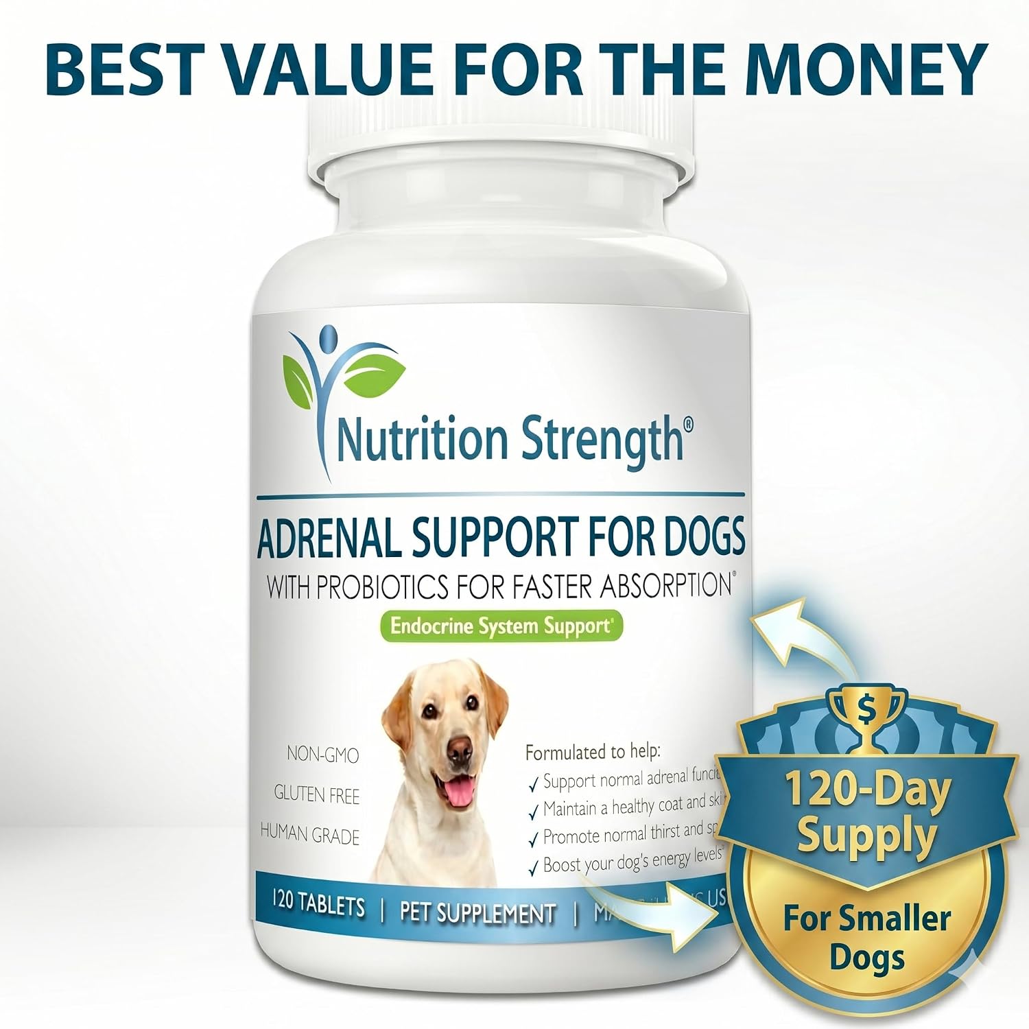 Adrenal Support for Dogs with Cushing's Disease | Maintain a Healthy Coat and Skin | Promote Normal Urination