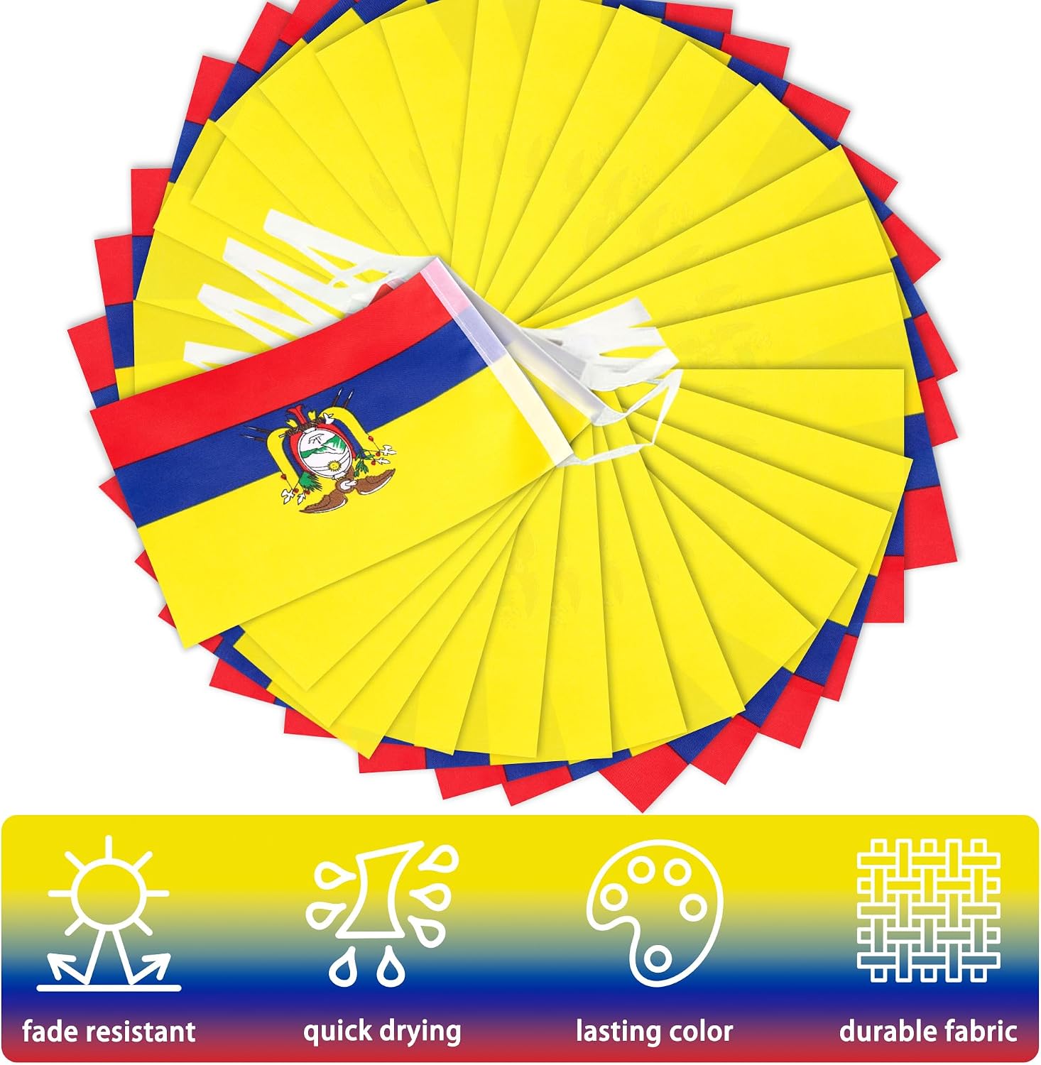 Nicaragua String Flag Pennant Banner, Small Mini Nicaraguan Flags Bunting Banner, National Country Decoration for School, Party, Sports Events, Patriotic Festival, 33 Feet 30 Flags