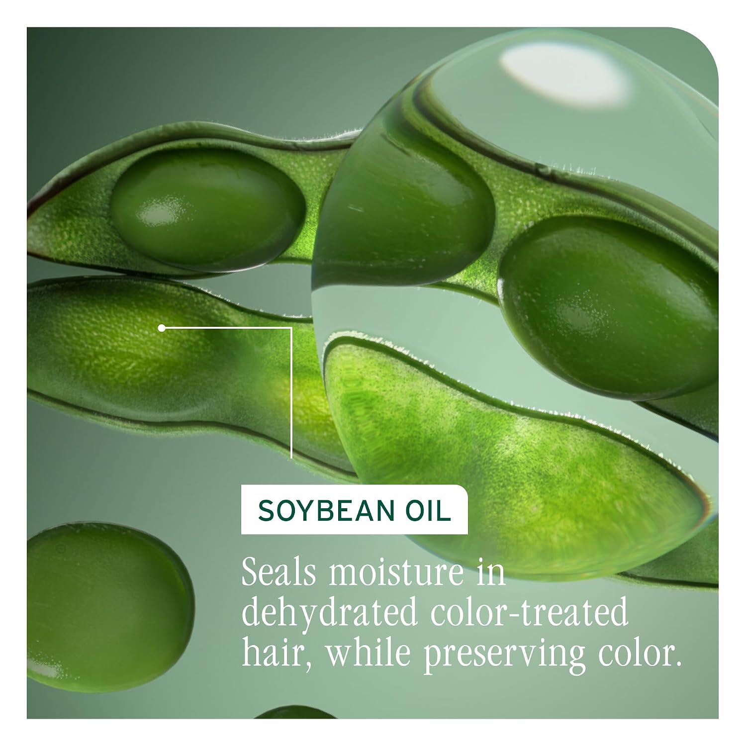 Biolage Color Last Shampoo – For Color-Treated Hair | Soybean oil, stearic acid, vegan, paraben-free, mineral oil-free, cleanses, hydrates