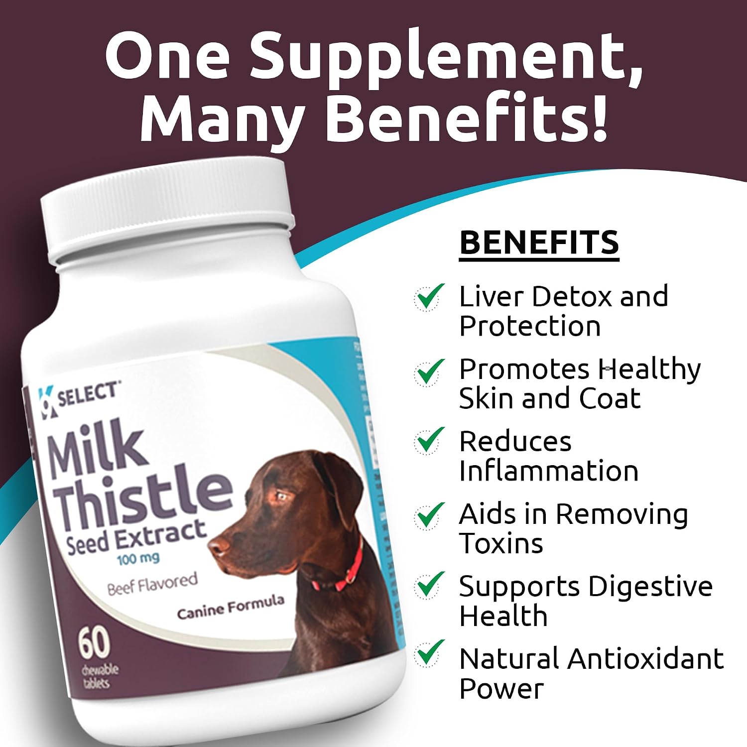 Milk Thistle for Dogs, 100mg - 60 Vegetable Capsules - Canine Liver Health Milk Thistle Supplement - Milk Herbal