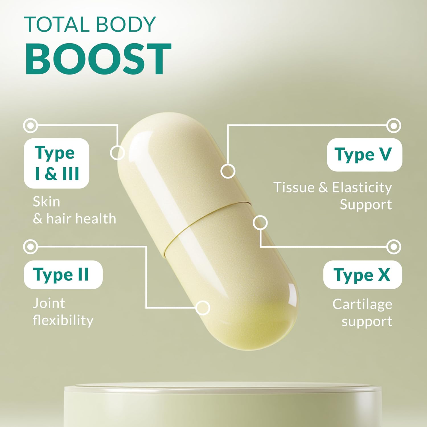 Multi Collagen 180 Protein Capsules - Type I, II, III, V, X Collagen Pills - Proprietary Blend of Eggshell, Chicken