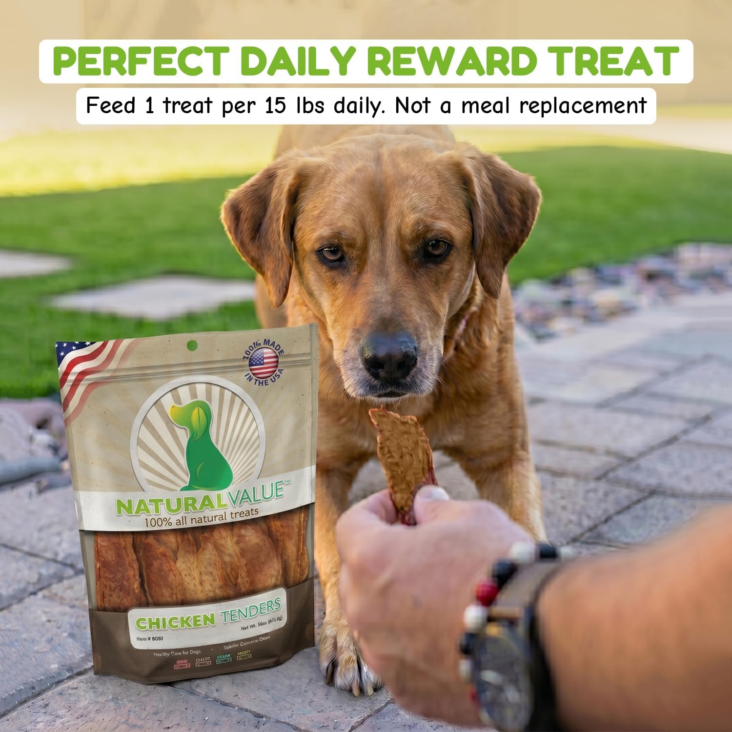 Loving Pets Natural Value Beef Sticks - Soft Jerky Dog Treats for Large & Small Breeds - Healthy Gluten, Wheat, Soy & Grain Free Pet Treats for Dogs