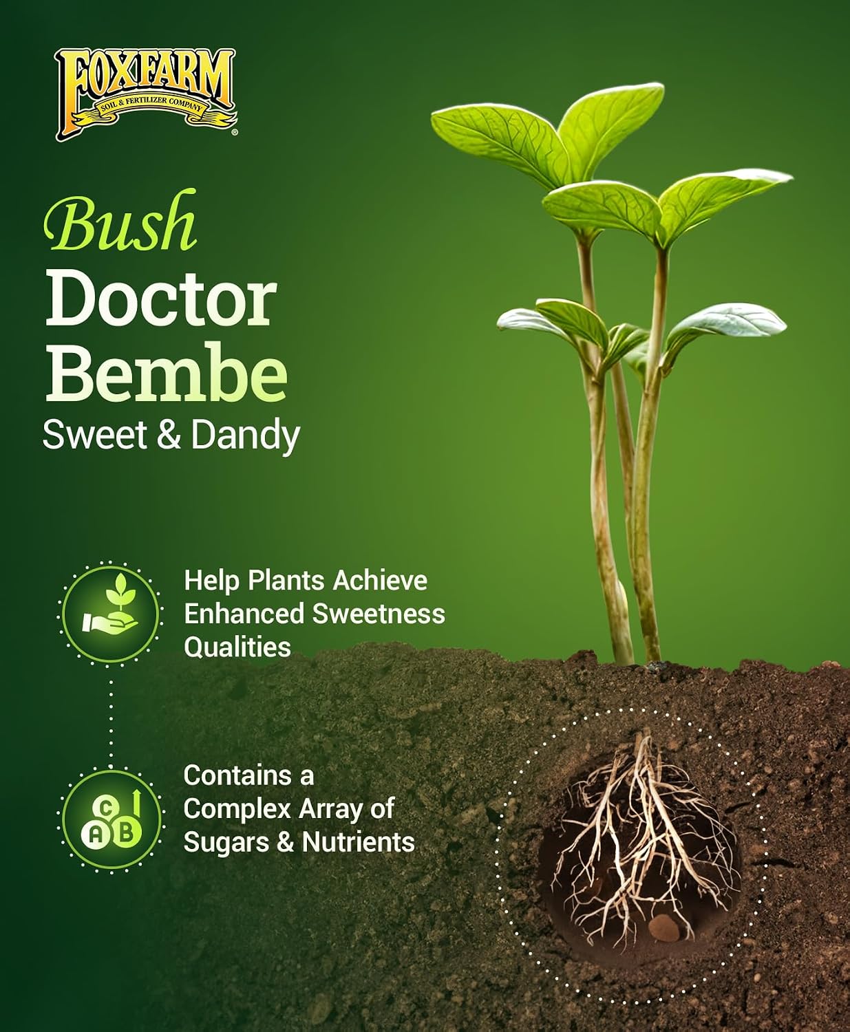 FoxFarm Bush Doctor Bembé Sweet & Dandy Liquid Plant Fertilizer - Complex Nutrient Blend - 0-1-3 PK Fertilizer for In-Ground & Hydroponic Gardens - 1 Quart