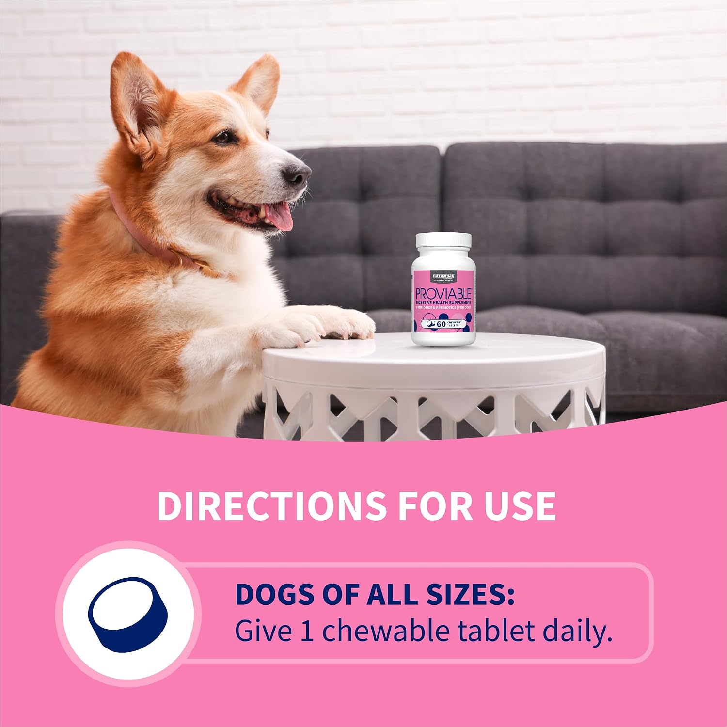 Nutramax Proviable Probiotics + Prebiotics for Dogs, Chewable Tablets, 60ct