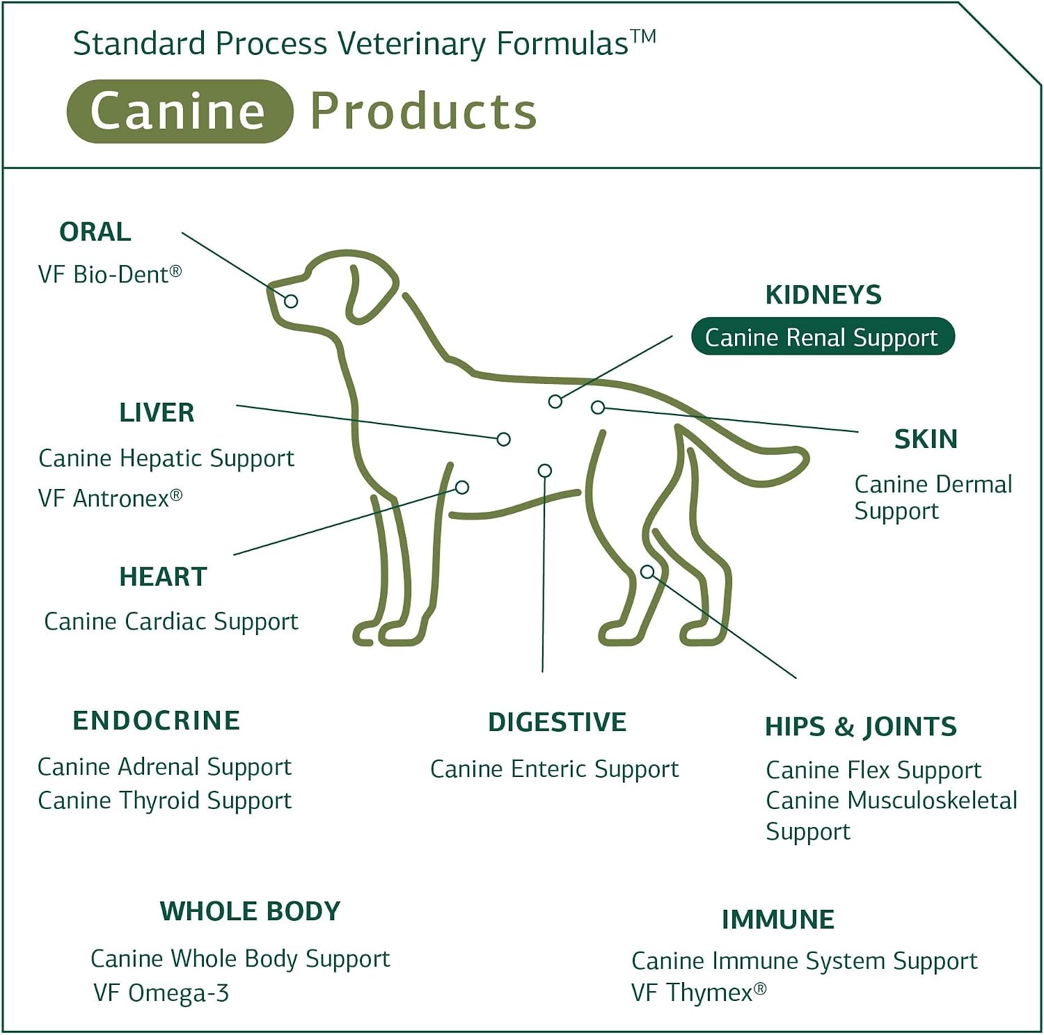 Standard Process Canine Renal Support - Dog Supplement for Kidney