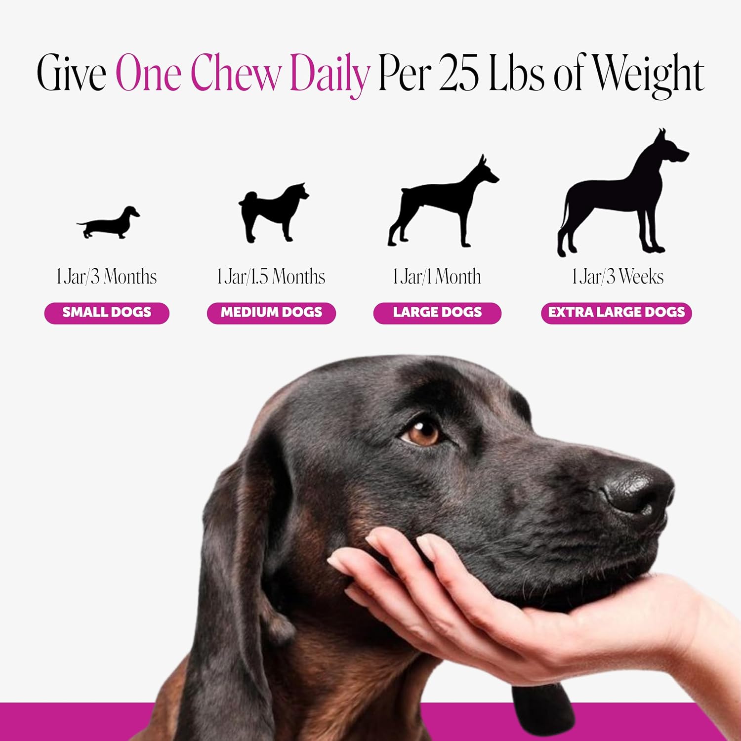 10-in-1 Dog Multivitamin Supplement with Glucosamine & Probiotics - Hip & Joint Support, Digestive Health, Immune Support, Heart & Skin - All-in-One Daily Vitamins & Omega-3s for Dogs, Chicken, 90 Ct