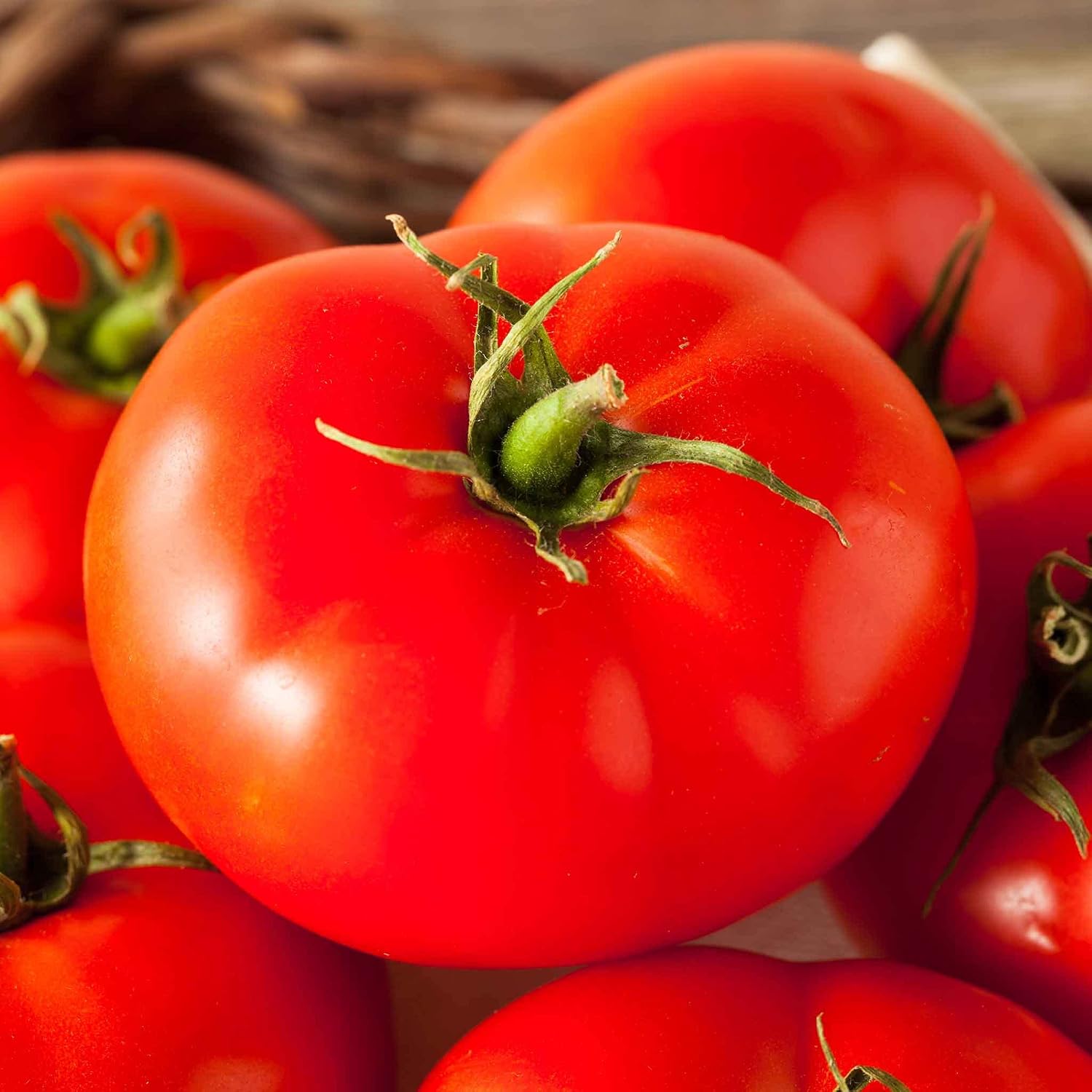 Eden Brothers Tomato Seeds - Persimmon Non-GMO Seeds for Planting, 1 oz | Low-Maintenance Vegetable Seeds, Plant During Warm Season, Zones 10, 3, 4, 5, 6, 7, 8, 9