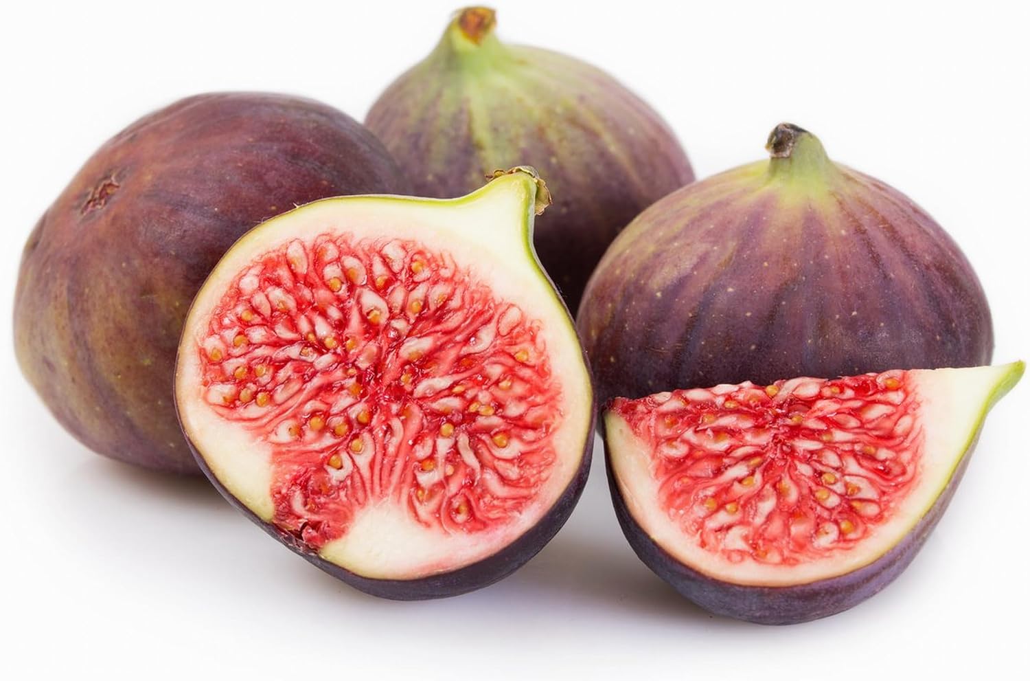 Chicago Hardy Fig Fruit Tree- Premium Size