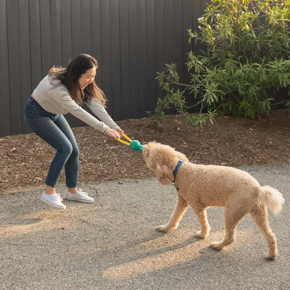 ZippyPaws RopeTugz Durable Dog Pull Rope Toy - Blue Monkey | Interactive Tug of War for Large, Medium & Small Dog, Squeaky Pet Product to Keep Them Busy, Made w/ Heavy Duty Climbing Rope