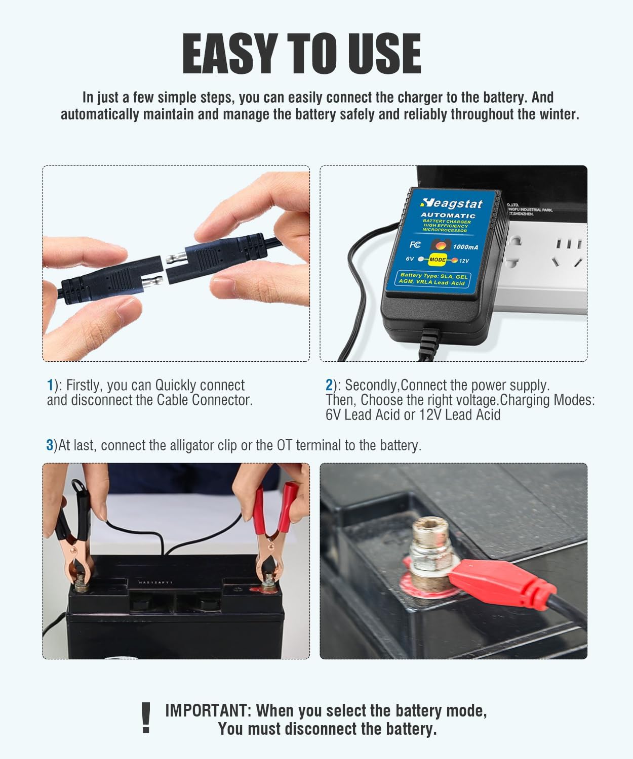 Heagstat HEAG020 Trickle Battery Charger, 12V 2000mA Battery Maintainer