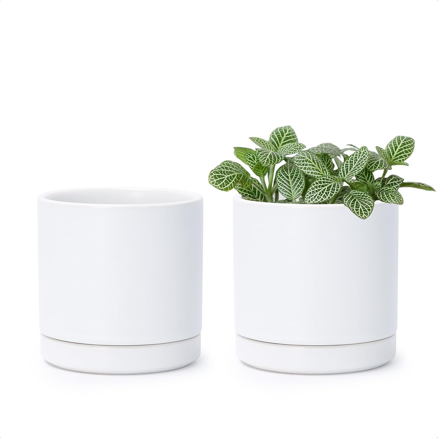 D'vine Dev 2-Pack Ceramic Pots with Saucers, White/Grey, 4.7 in, 94-V-B-6