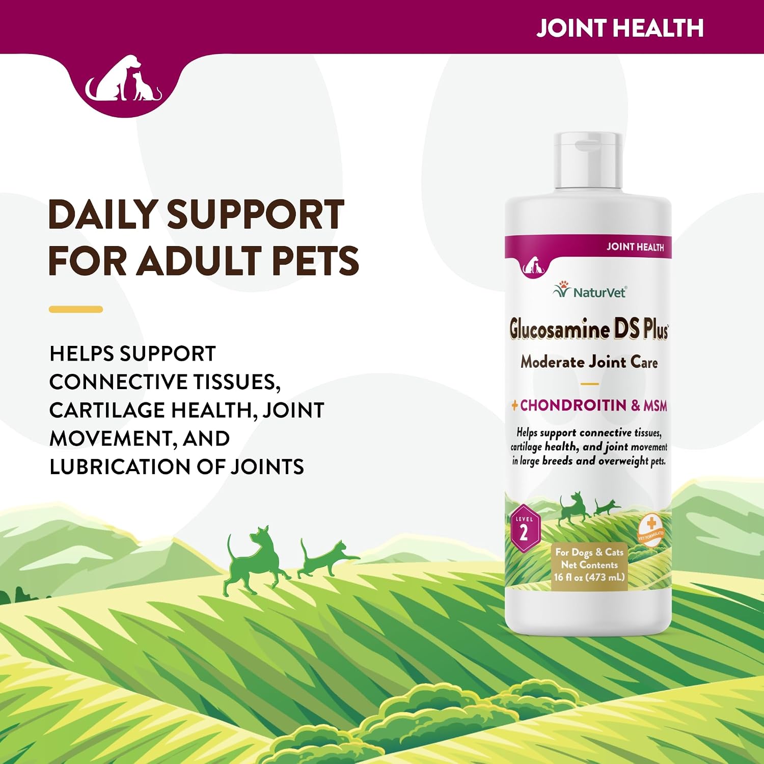 NaturVet – Glucosamine DS Plus - Level 2 Moderate Care – Supports Healthy Hip & Joint Function – Enhanced with Glucosamine, MSM & Chondroitin – for Dogs & Cats–70 Soft Chews