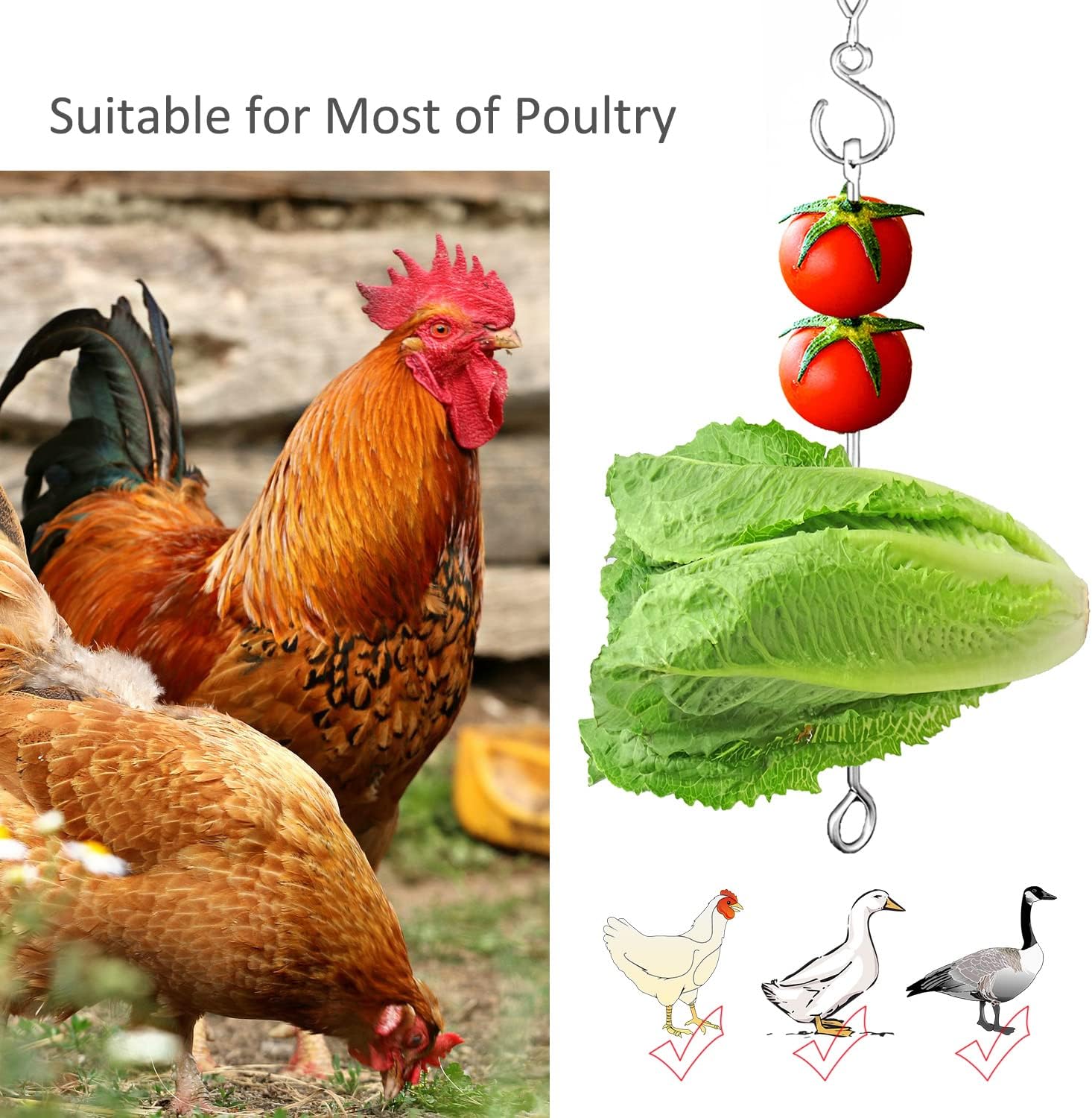 Chicken Vegetable Hanging Feeder Toy for Hens Pet Chicken Veggies Skewer Fruit Holder for Hens Large Bird