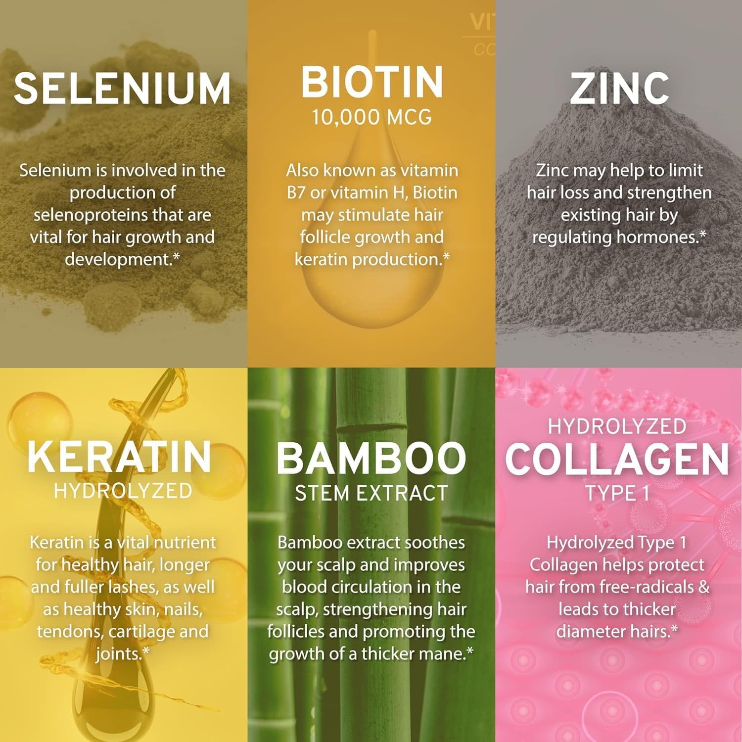 TRIO NUTRITION Hair Abundance Biotin 10,000mcg: Hair Growth, Skin & Nails | Biotin (Vitamin B7), collagen, keratin, bamboo silica, zinc & selenium. Hair & lash vitamins supplement for women & men.*