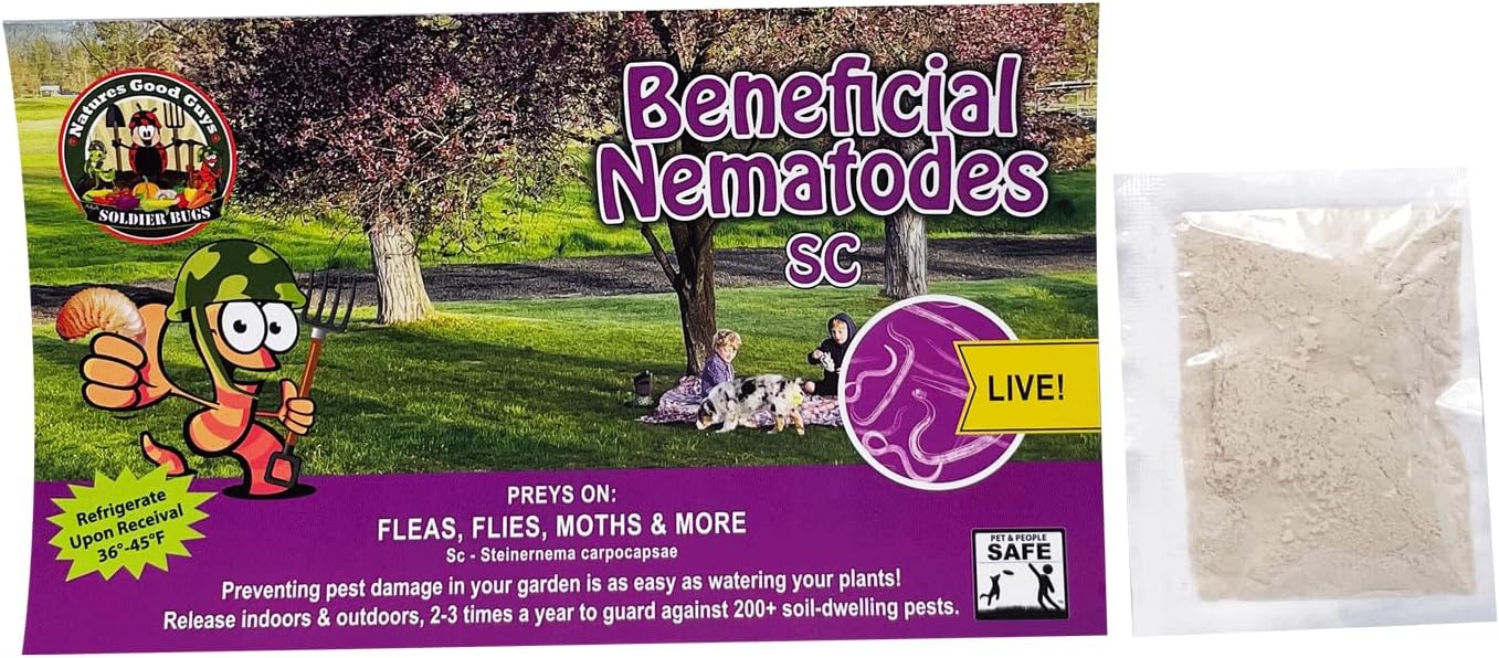 Beneficial Nematodes Sc-Steinernema carpocapsae 250 Million