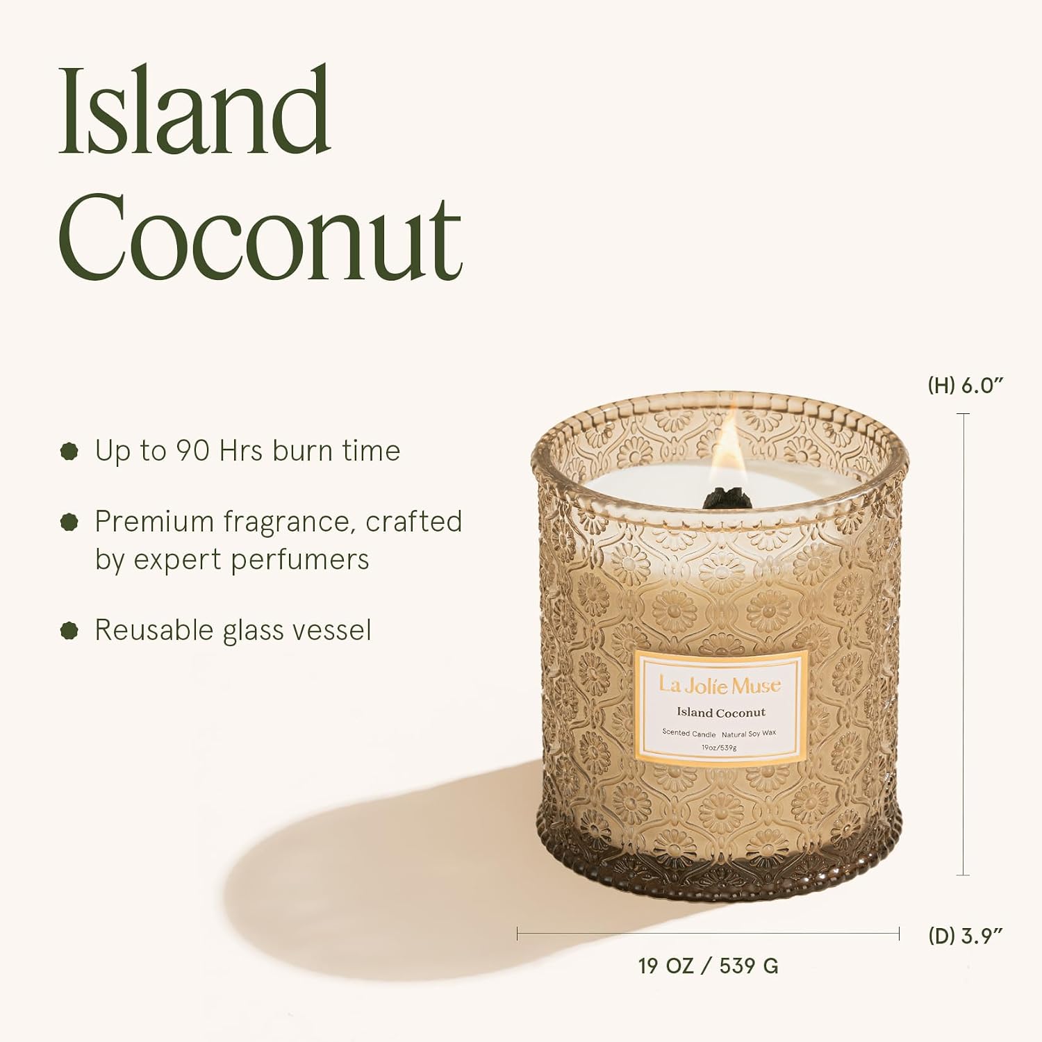 LA JOLIE MUSE Starlit Fir Pine Scented Candles for Home,19 oz Natural Soy
