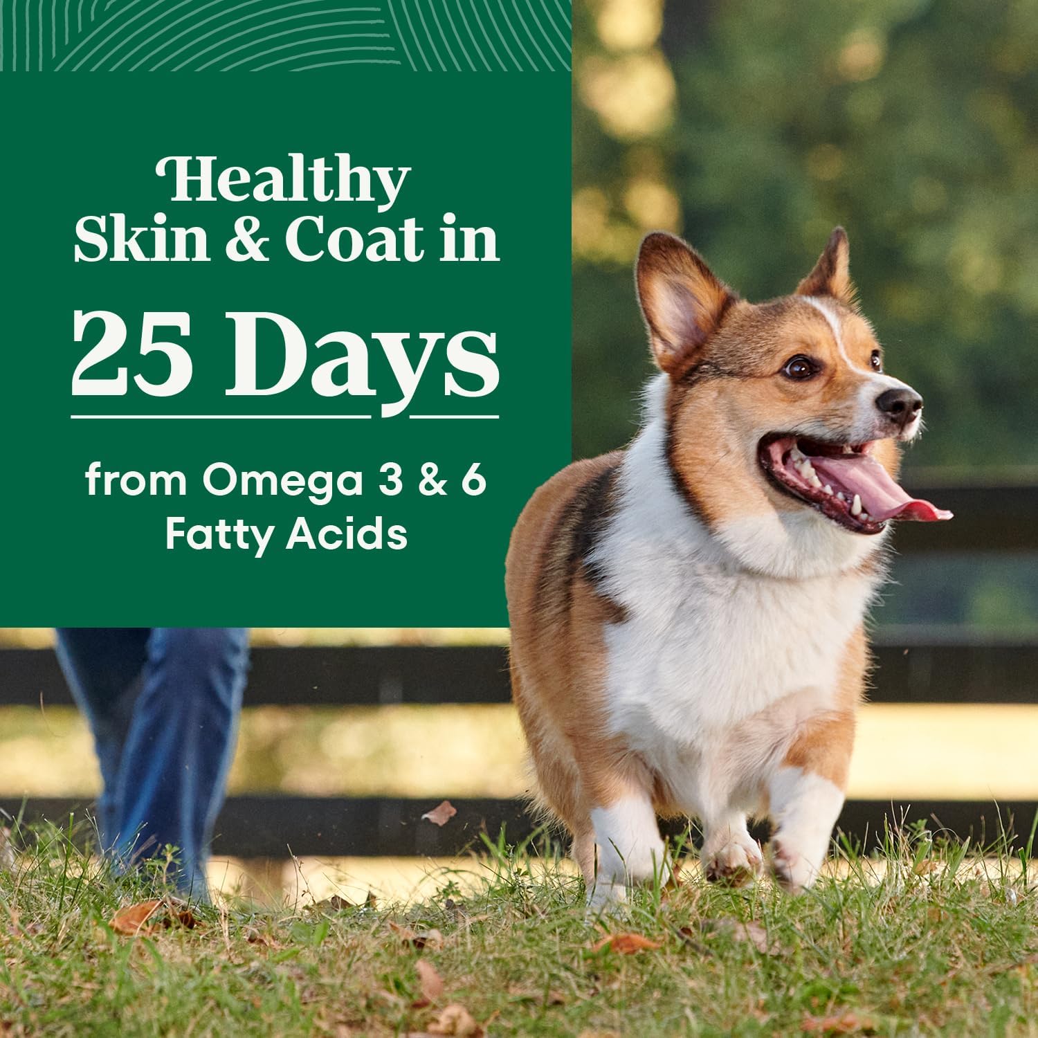 Nutro Natural Choice Small Bites Dry Dog Food, Lamb & Rice, 5 lb | Non-GMO, Real lamb #1 ingredient, no corn, wheat, soy, crafted in USA, supports energy, bones, muscles, dental health, skin