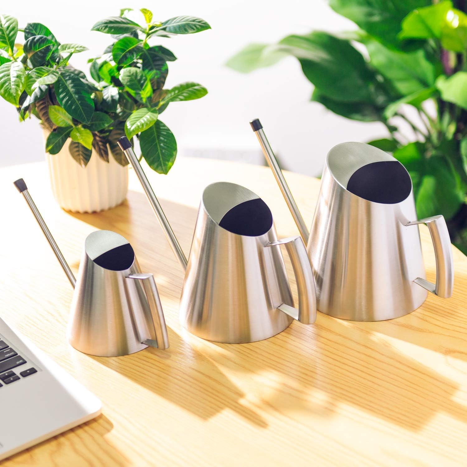IMEEA Stainless Steel Indoor Watering Can with Long Spout Modern Watering Can for Small Indoor Plants, 50oz / 1.5L Maximum Capacity