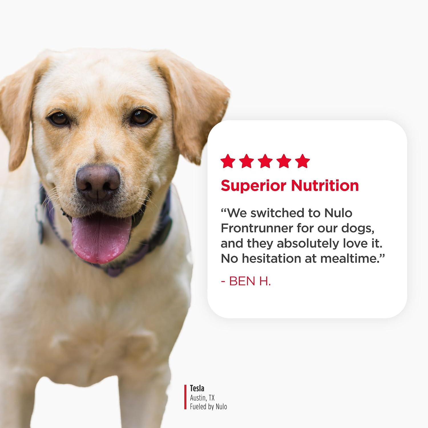 Nulo Frontrunner Dry Dog Food - Adult High-Protein Beef, Barley & Lamb Recipe, Natural Kibble with Ancient Grains, Probiotics, Taurine