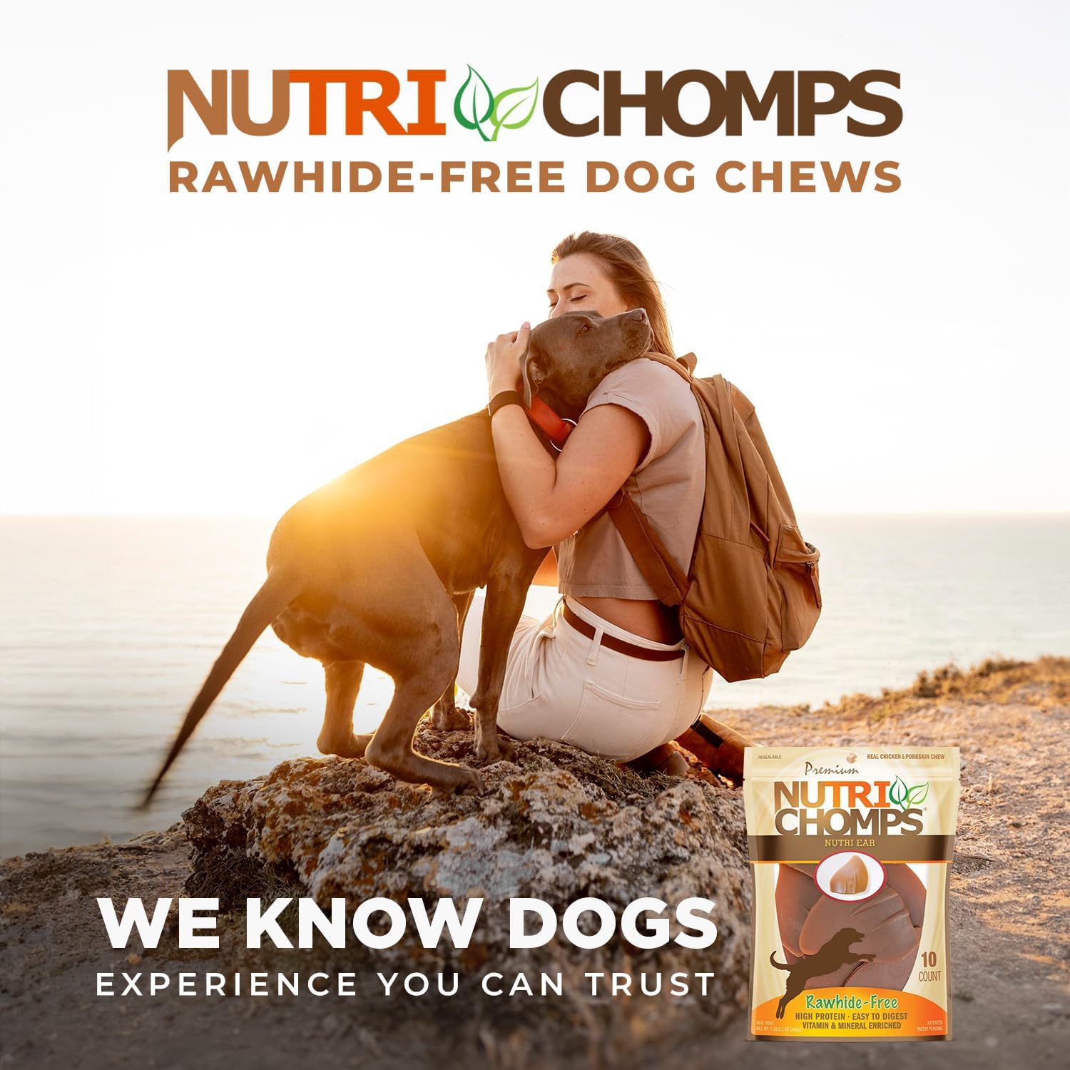 NutriChomps Rawhide-Free Dog Chews, Ear-Shaped, Chicken, 10 Count