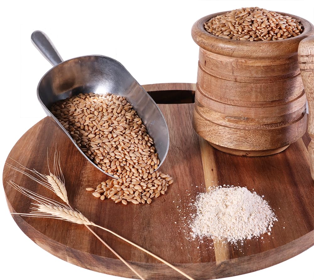 Organic Einkorn Wheat Berries - 3lbs
