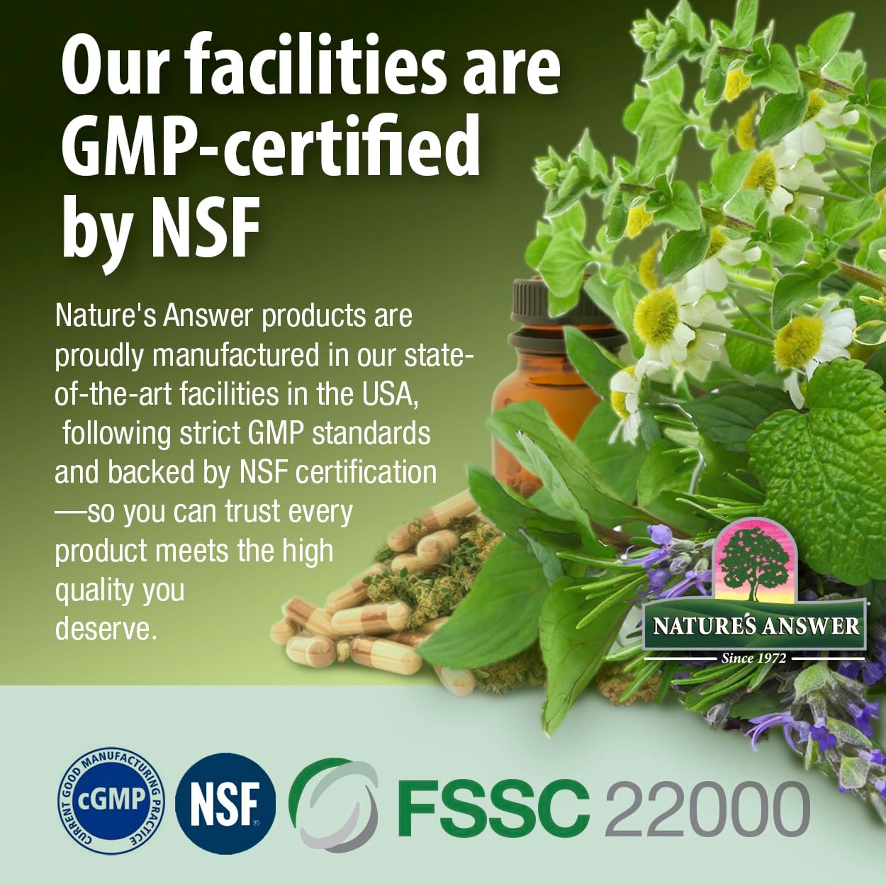 Nature's Answer Cranberry | Supports a Healthy Urinary Tract | Alcohol-Free, Gluten-Free, Kosher Certified
