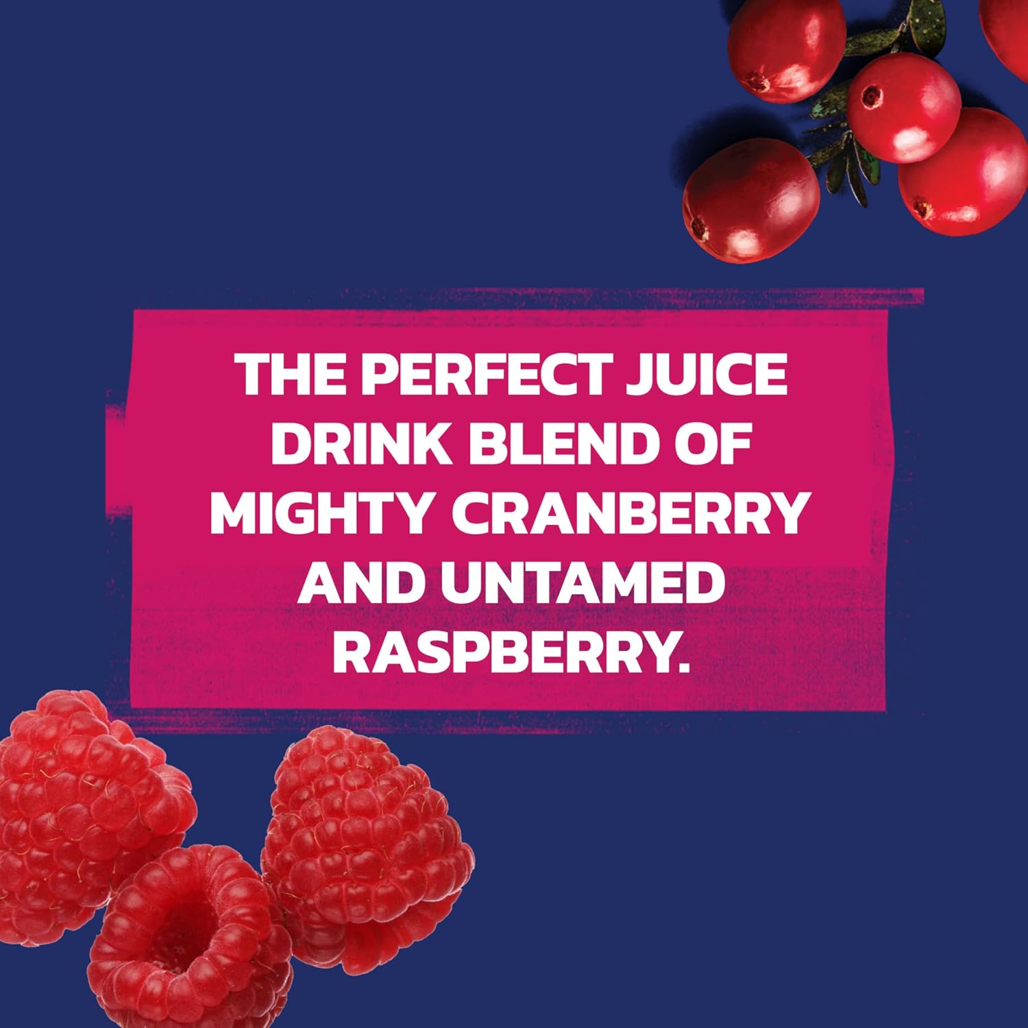 Ocean Spray® Cran-Raspberry® Cranberry Raspberry Juice Drink, 101.4 Fl Oz Bottle