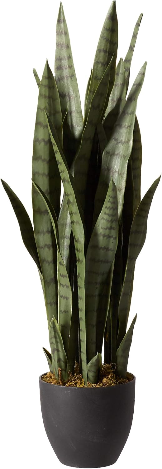 Nearly Natural 35in. Sansevieria with Black Planter and 4ft. Corn Stalk Dracaena Silk Plant (Real Touch), Green
