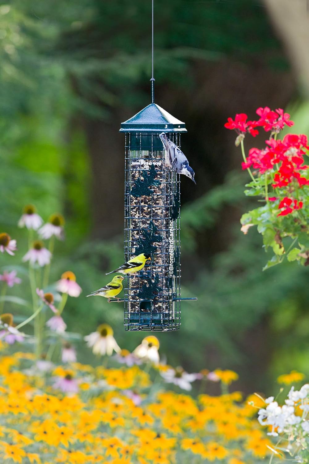 Squirrel Solution200 Squirrel-proof Bird Feeder w/6 Feeding Ports, 3.4-pound Seed Capacity, Free Seed Funnel | Six ports